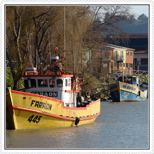 El Río Maule